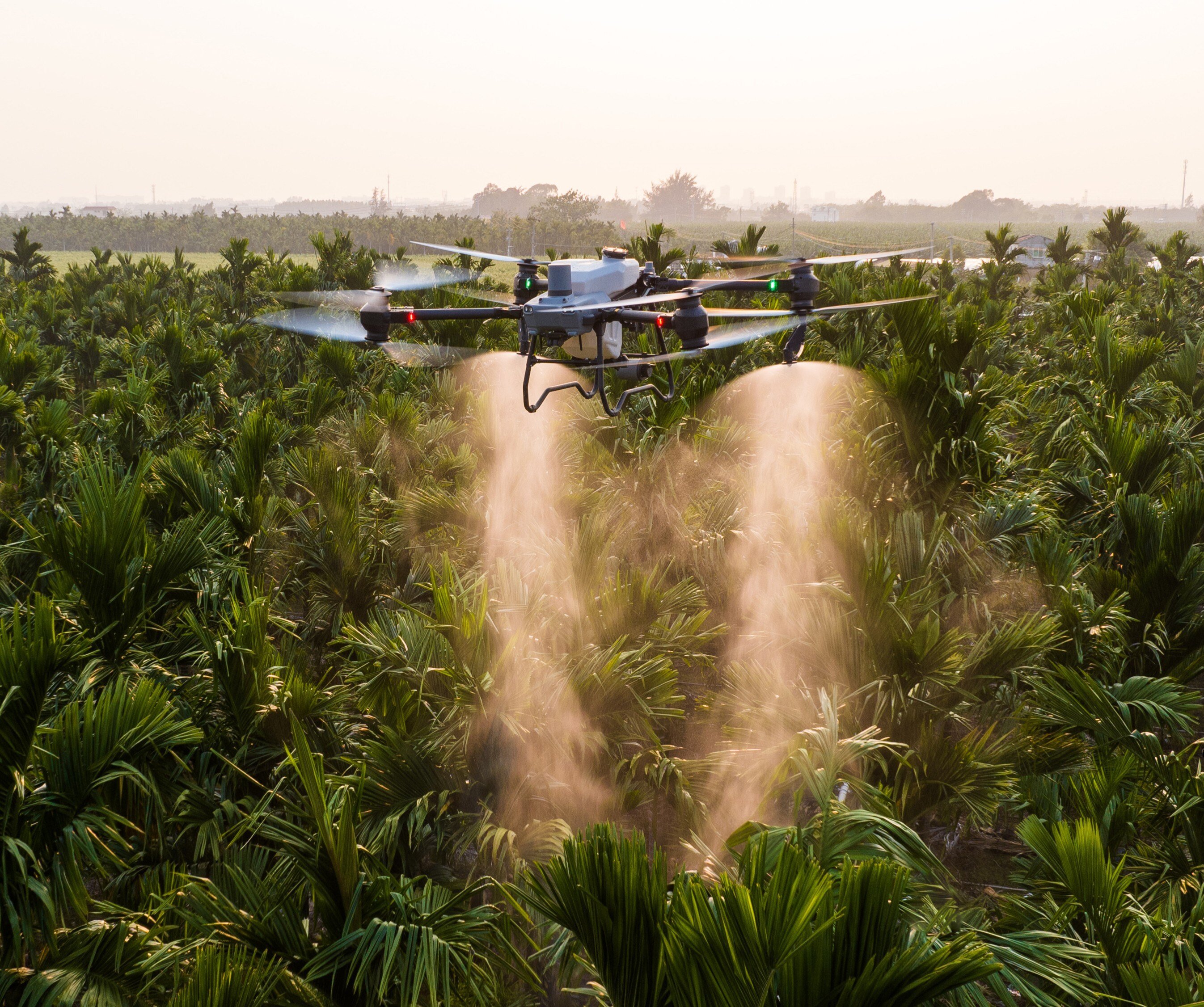 DJI_20240306175358_0077_D-1
